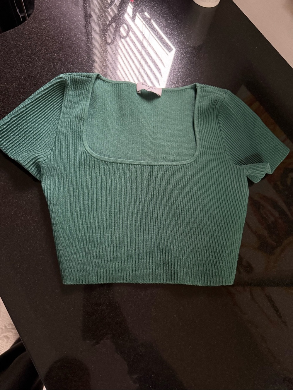 Aritzia Babaton sculpt Knit Crop Top